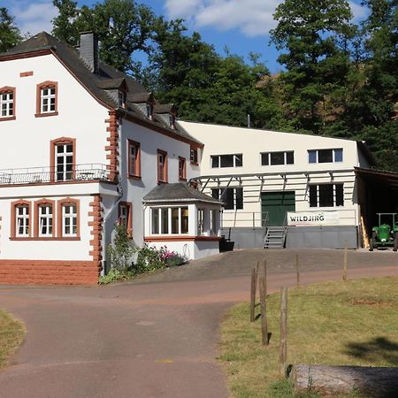 Gaestehaus Herrenmuehle Freudenburg  外观 照片