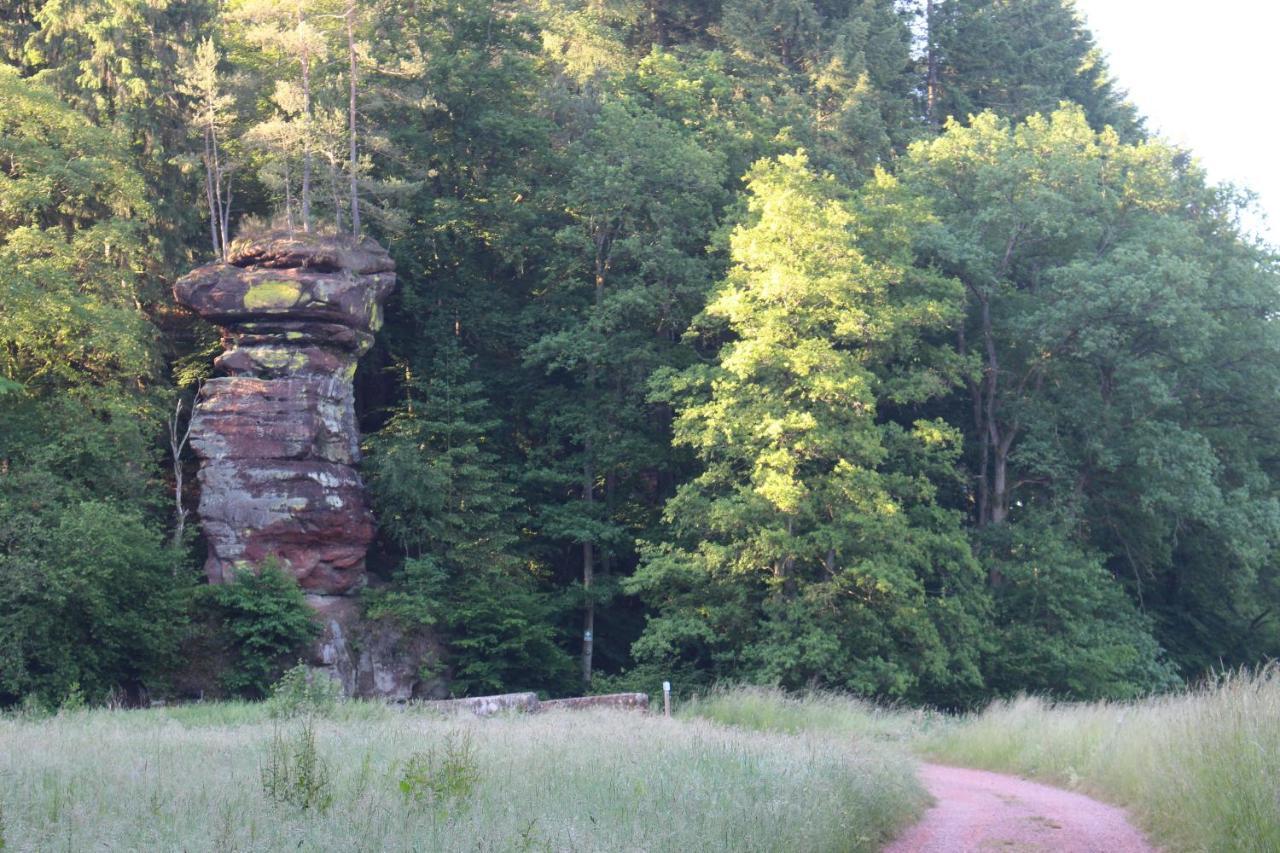 Gaestehaus Herrenmuehle Freudenburg  外观 照片
