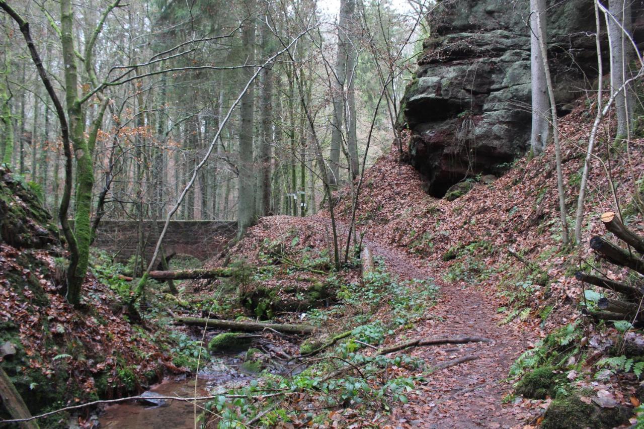 Gaestehaus Herrenmuehle Freudenburg  外观 照片
