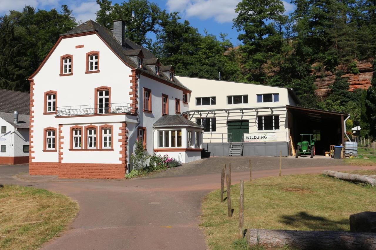 Gaestehaus Herrenmuehle Freudenburg  外观 照片